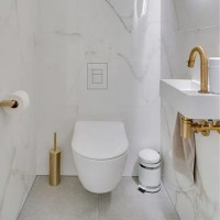 E10009 Прихована кнопка змиву Edplit CWG(Grohe) (1 сорт) EDPLIT фото 2