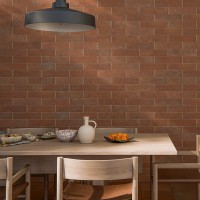 KAMIEN ARGILLA TERRA (1 сорт) Cerrad