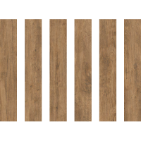 BRANTWOOD BROWN MATT RECT** (1 сорт) CERSANIT entry фото 1