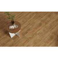 BRANTWOOD BROWN MATT RECT** (1 сорт) CERSANIT entry фото 3