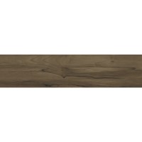 DREAM WOOD КОРИЧНЕВИЙ S67П20 (1 сорт) Golden Tile