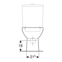 500.285.01.7 Підлоговий унітаз Geberit Selnova для змивного бачка зовнішнього монтажу воронкоподібни Geberit фото 3