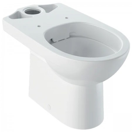500.285.01.7 Підлоговий унітаз Geberit Selnova для змивного бачка зовнішнього монтажу воронкоподібни Geberit