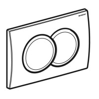 115.107.21.1 Delta01 Клавіша змиву з подвійним змивом: Глянцевий хром (1 сорт) Geberit промо