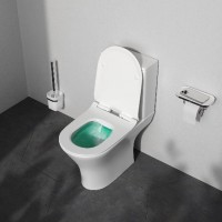 CNA8600SC Flash  Унітаз-Компакт кришка мікроліфт, білий (1 сорт) AM.PM фото 10