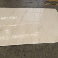 ELIS BLANCO P. (1 сорт) MEGAGRES фото 3