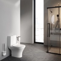 CNA8600SC Flash  Унітаз-Компакт кришка мікроліфт, білий (1 сорт) AM.PM фото 11