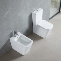 DFL2170211W Flow square Компакт 610x365x825мм з кришкою soft-close, Vortex Flush, білий глянець (1 с Devit фото 4