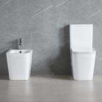 DFL2170211W Flow square Компакт 610x365x825мм з кришкою soft-close, Vortex Flush, білий глянець (1 с Devit фото 5