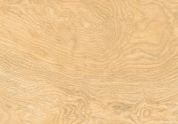 GRES NEOSIMPLE LIGHT BEIGE RECT (1 сорт) Cerrad фото 2