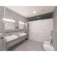 COLISEO SILVER (1 сорт) Dual Gres
