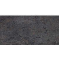 100202673 IMAGE DARK 59,6X120(A) (1 сорт) PORCELANOSA (MC)