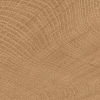ENJE WCI WALNUT 100X100 (1 сорт) EMIL CERAMICA фото 1