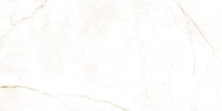 DUAL WHITE NT/60X120X0,9/C/R (1 сорт) Peronda фото 1